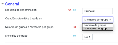 Creación automática basada